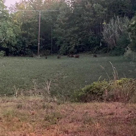 Bed & Breakfast La Ginestra Abbateggio