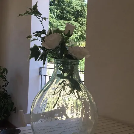 Bed & Breakfast La Ginestra