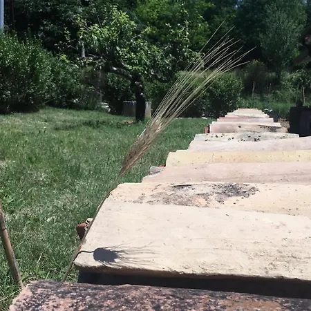 La Ginestra Bed & Breakfast Abbateggio