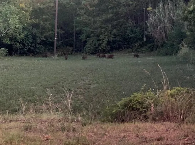 Bed and Breakfast La Ginestra Abbateggio